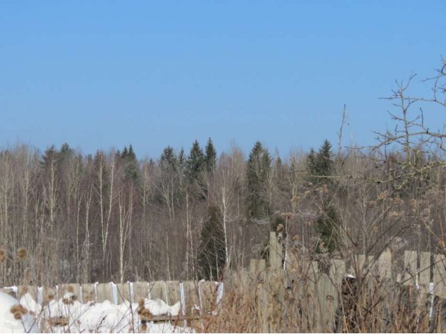 Дом в тихой деревне в городе Ржев, фото 8, Тверская область