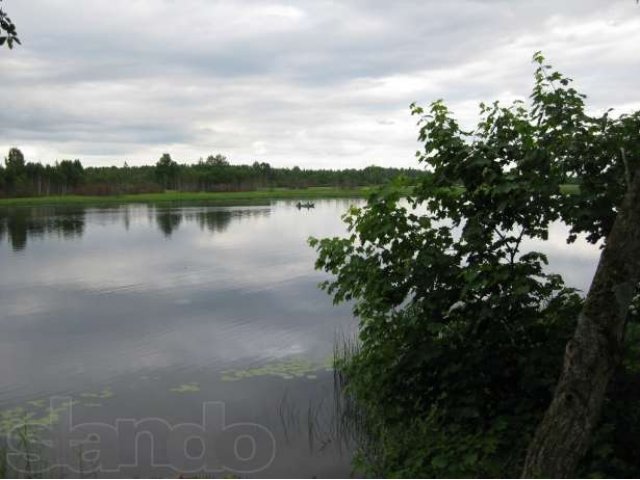 Дом у реки в городе Кингисепп, фото 2, Ленинградская область