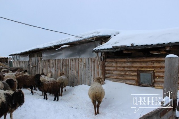 Дом 48 м² на участке 15 сот. в городе Топки, фото 1, телефон продавца: +7 (905) 902-99-04