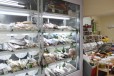 Отдел рыба в продуктовом магазине 15 м² в городе Москва, фото 1, Московская область