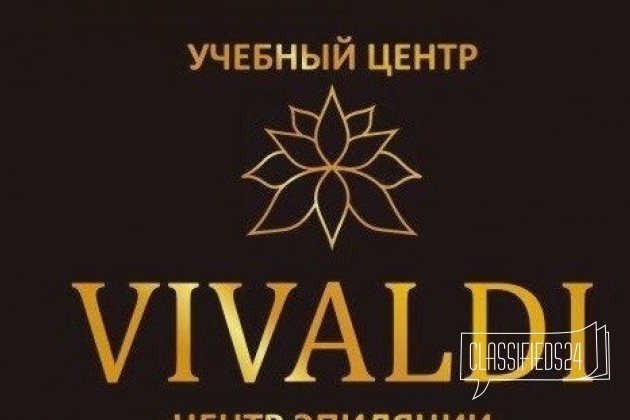 Учебный центр Vivaldi в городе Курск, фото 1, телефон продавца: +7 (960) 677-68-06