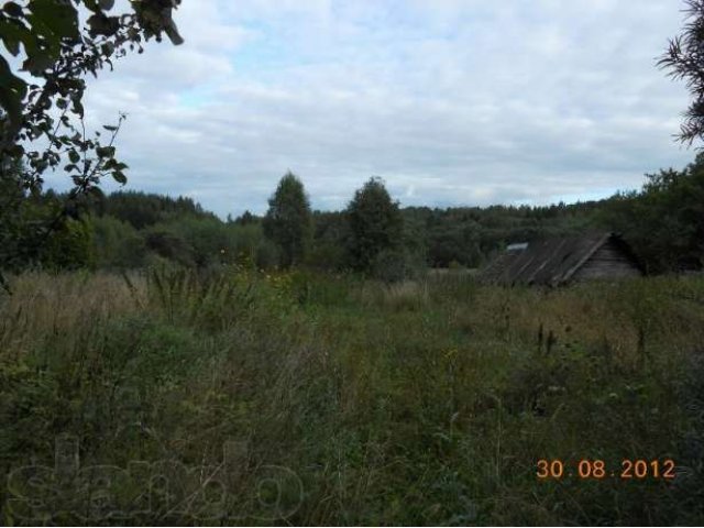 Дом в деревне Кожакино, Вышневолоцкий район,Тверская область. в городе Вышний Волочек, фото 3, стоимость: 270 000 руб.