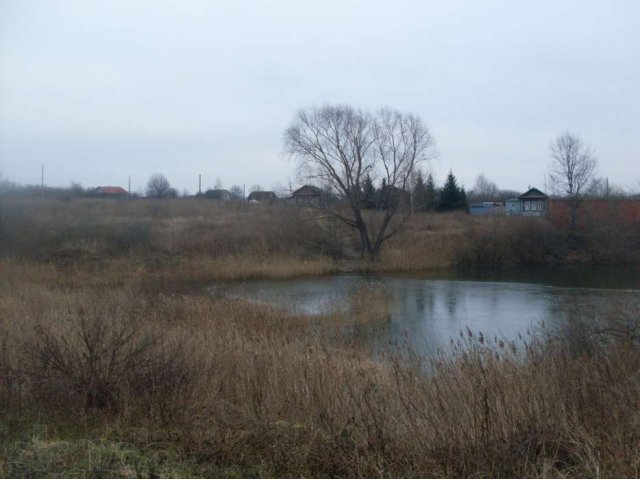 Дом деревянный в городе Богородск, фото 3, стоимость: 400 000 руб.