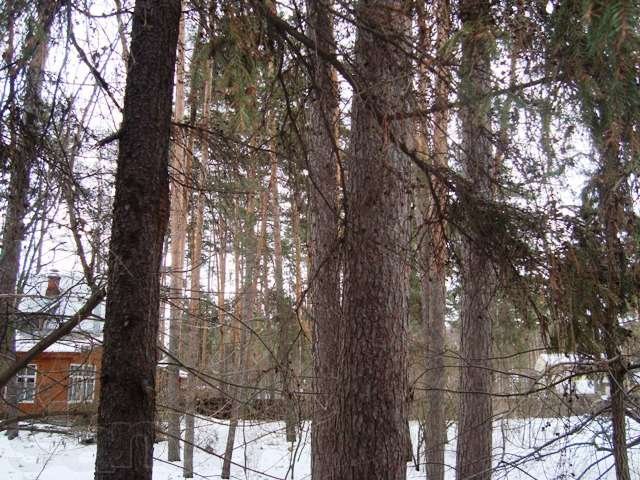 пос. Кратово. Площадь 60 кв.м. в городе Жуковский, фото 2, Продажа домов за городом