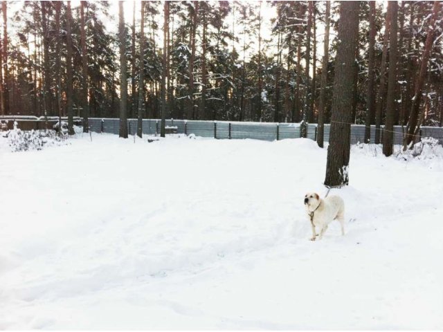 Таунхаус. Приозерский район. п. Суходолье в городе Санкт-Петербург, фото 7, стоимость: 2 300 000 руб.