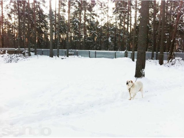 Продам Зимний дом. Рядом озеро.Поселок Суходолье, до Спб 60км. в городе Санкт-Петербург, фото 2, Продажа домов за городом