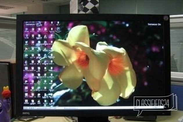 BenQ FP202W в городе Москва, фото 2, Московская область