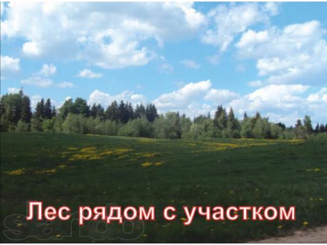 Продается дом в д. Ульянцево. в городе Новосокольники, фото 6, стоимость: 395 000 руб.