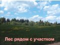 Продается дом в д. Ульянцево. в городе Новосокольники, фото 6, Продажа домов за городом