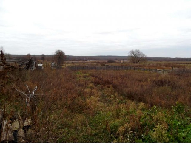 Продается дом в с. Репное S – 80 м2 в городе Балашов, фото 5, Саратовская область