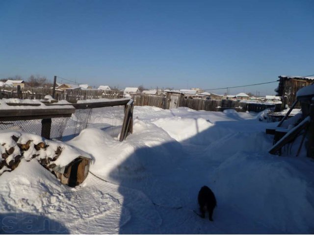 Продам жилой дом в городе Шумиха, фото 6, Продажа домов за городом