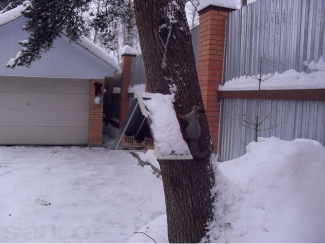 коттедж ярославское ш жилой ст Заветы Ильича в городе Пушкино, фото 3, стоимость: 27 000 000 руб.