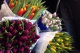 Тюльпаны к 8 марта в городе Иркутск, фото 1, Иркутская область