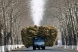 Сено в тюках с доставкой в городе Ижевск, фото 1, Удмуртия