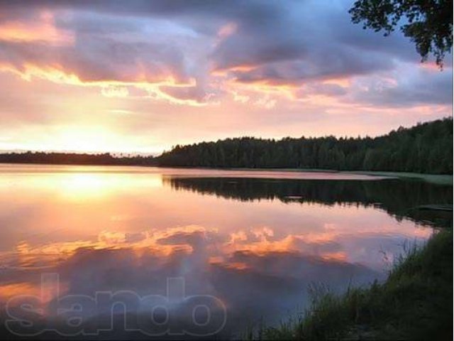 Продается дом на берегу Пальцевского озера. в городе Выборг, фото 3, Ленинградская область