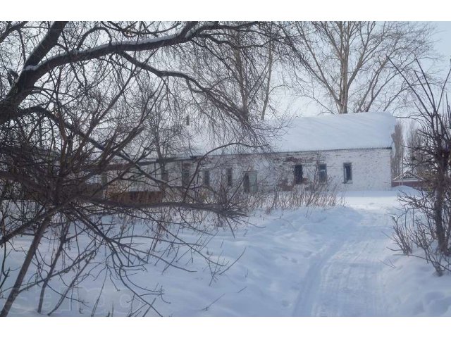 здание бани общего пользования в городе Тольятти, фото 2, стоимость: 3 000 000 руб.