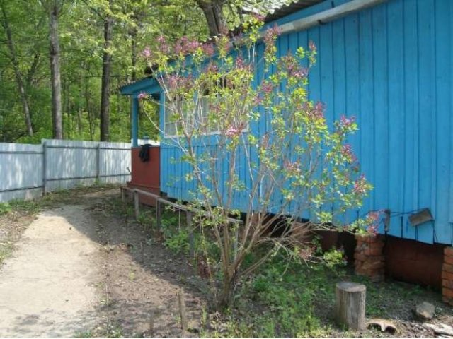 Дом с участком в заповедном районе в городе Уссурийск, фото 2, Приморский край