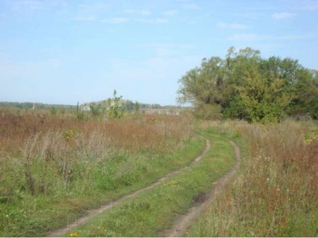 Жилой дом 45м/кв в селе Колесово (Хмелинец) в городе Задонск, фото 3, Липецкая область