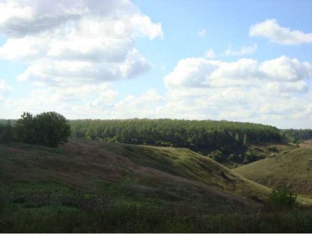 Дом 25м/кв в живописном месте с.Липовка в городе Задонск, фото 4, Липецкая область