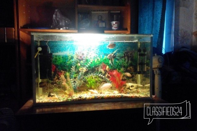 Продам аквариум 80x40x60 в городе Воронеж, фото 2, Воронежская область