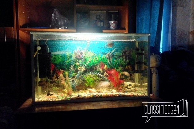 Продам аквариум 80x40x60 в городе Воронеж, фото 3, телефон продавца: |a:|n:|e: