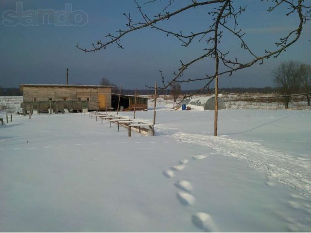 Фермерское хоз-во, 3 дома, 27 Га в городе Мосальск, фото 8, Калужская область