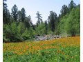 продам землю в Горном Алтае в городе Горно-Алтайск, фото 1, Алтай