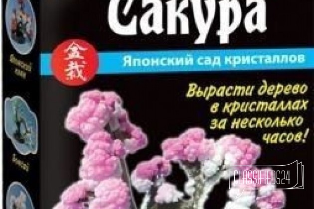 Набор для опытов Сакура Японский сад кристаллов в городе Екатеринбург, фото 1, телефон продавца: +7 (343) 207-71-05