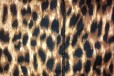 Леопардовый пиджак р.42-44 в городе Белая Калитва, фото 2, телефон продавца: +7 (928) 140-01-63