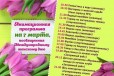 Аквалоо на 8 марта с авиа перелетом в городе Серпухов, фото 1, Московская область