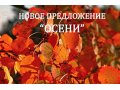 Продается зимний дом площадью 6х6, п. Чаплино. в городе Волосово, фото 1, Ленинградская область