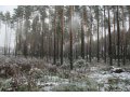 Продается дом Выборгский район, п. Зеленая Роща. в городе Выборг, фото 1, Ленинградская область