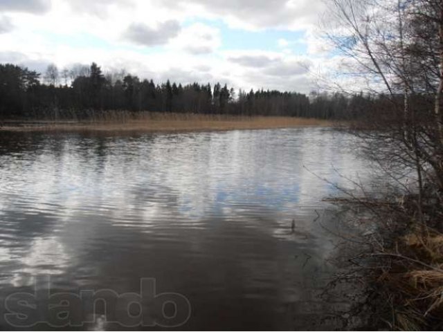 Свой берег р.Тихая. Классная рыбалка. в городе Приозерск, фото 8, Ленинградская область