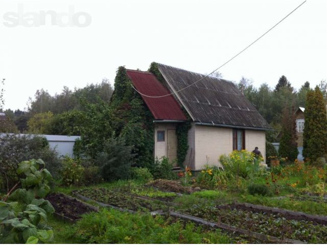 Продаю участок 8 соток в д.Жуковка в городе Пушкино, фото 3, стоимость: 3 000 000 руб.