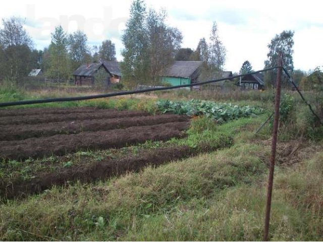 Дом на реке Мста в деревне Сосницы в городе Малая Вишера, фото 8, Новгородская область