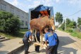 Грузоперевозки по городу и краю в городе Краснодар, фото 1, Краснодарский край