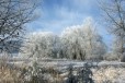 Участок 2.5 га (ИЖС) в городе Санкт-Петербург, фото 1, Ленинградская область