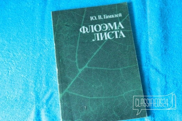 Гамалей Ю. В. Флоэма листа (развитие цветко растен в городе Нижний Новгород, фото 1, Нижегородская область