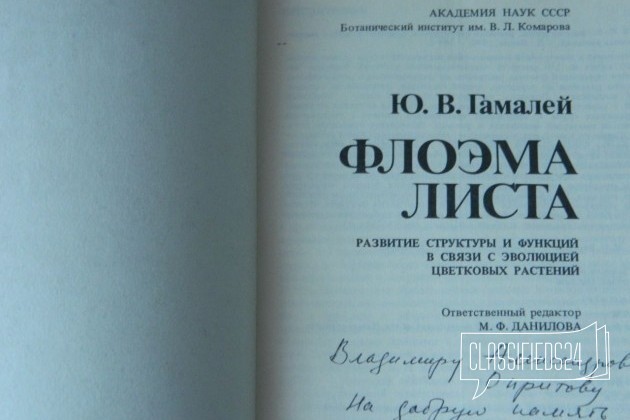 Гамалей Ю. В. Флоэма листа (развитие цветко растен в городе Нижний Новгород, фото 2, телефон продавца: +7 (950) 605-24-04