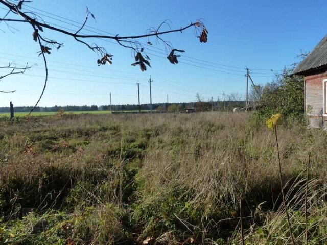 Волосово, участок 21 сотка, домик, гараж в городе Волосово, фото 2, Продажа домов за городом