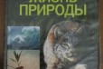 Книга большого формата в городе Красноярск, фото 1, Красноярский край