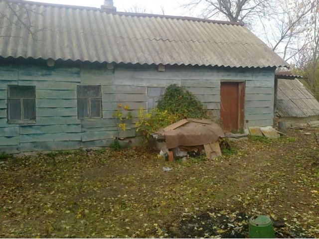 Деревенский дом в городе Павловск, фото 4, Воронежская область