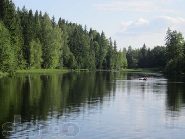 Дом на берегу озера в городе Ржев, фото 4, Продажа домов за городом