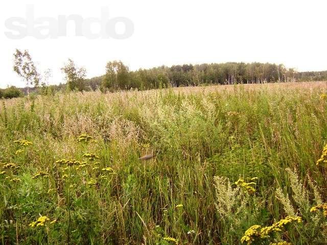 Меткомелино. Площадь участка 200 соток. в городе Жуковский, фото 2, Продажа домов за городом