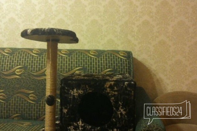 Домик для кота новый в городе Москва, фото 2, Аксессуары