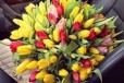 Тюльпаны оптом в городе Казань, фото 1, Татарстан