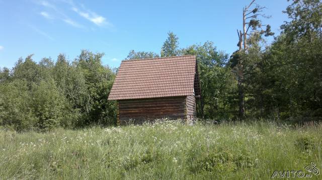 Продаю свой участок в Ленинградской области в городе Приозерск, фото 3, Земельные участки