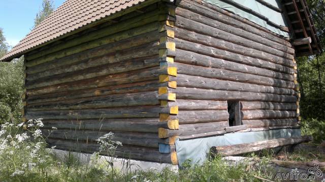 Продаю свой участок в Ленинградской области в городе Приозерск, фото 1, Ленинградская область