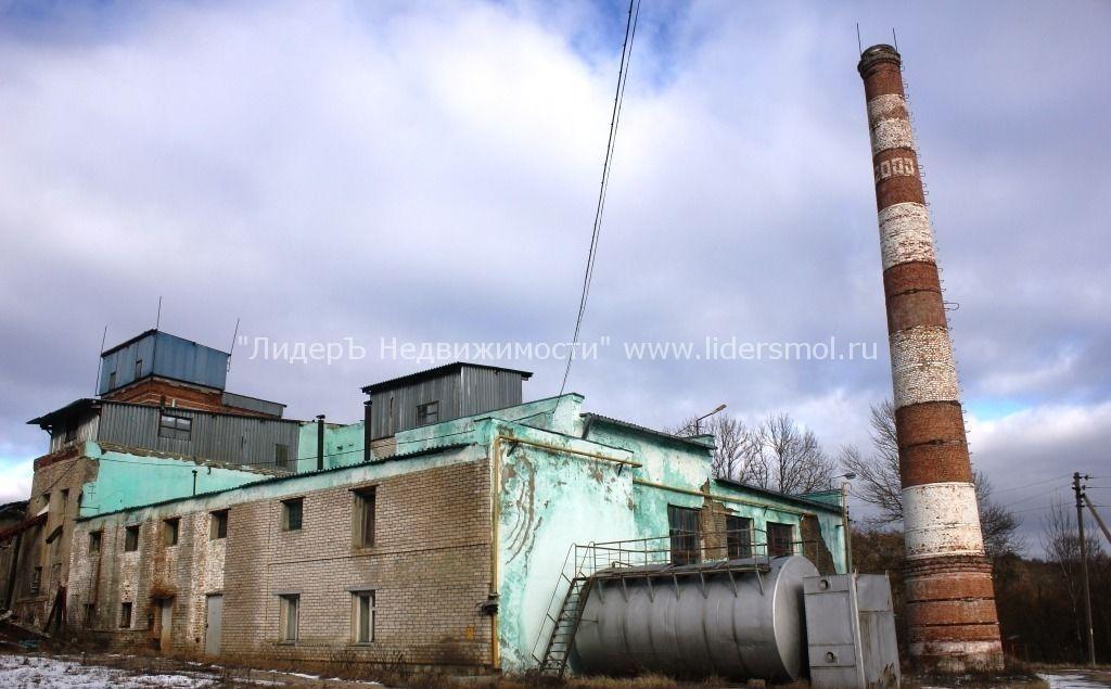 Потемкинский спиртзавод в городе Смоленск, фото 3, Предприятия и заводы