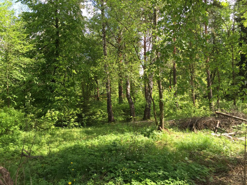 Продам земельный участок в пос. Зеленоградский в городе Пушкино, фото 1, Московская область